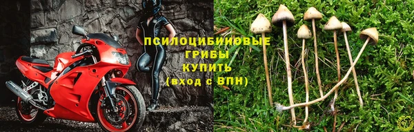 мяу мяу мука Белоозёрский