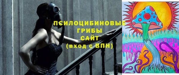 mdpv Белокуриха