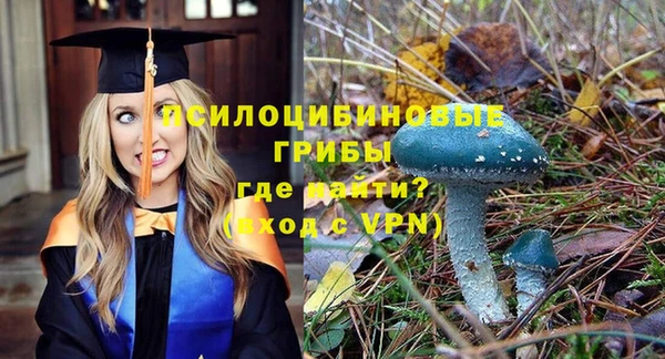 дурь Беломорск