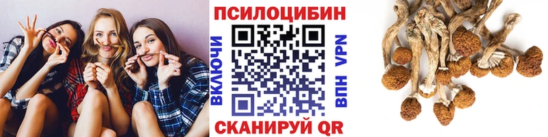 Галлюциногенные грибы MAGIC MUSHROOMS Волчанск
